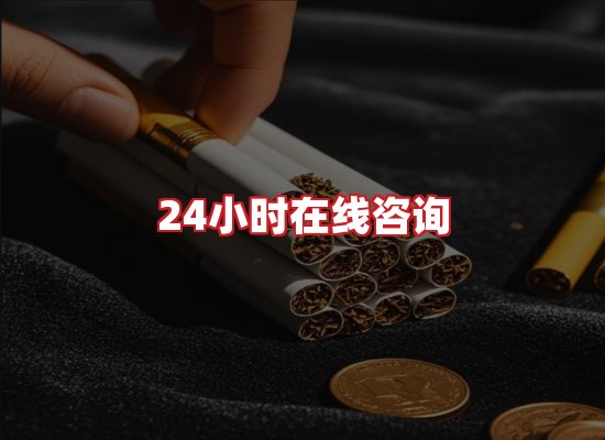 专业团队